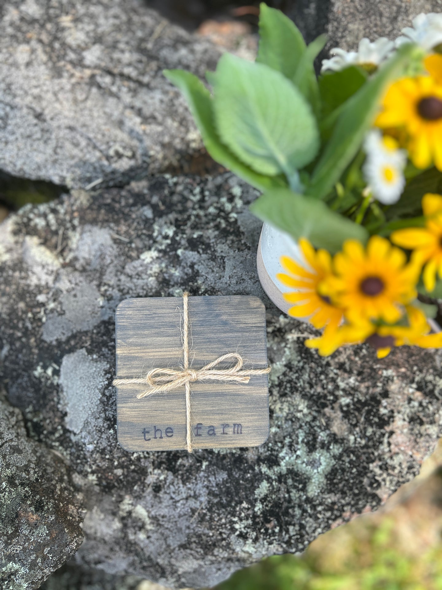 Wood Burned Coasters